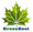 GREENCOOL
