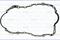 Gasket, wet sump, артикул 14092700