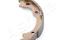 Brake shoe set, parking brake, артикул 550KK21