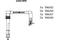 Комплект высоковольтных п роводов зажигания, артикул 233200