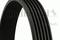 Keilrippenriemen, артикул 6PK1033ELAST