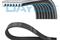 Ремень ручейковый DAYCO, артикул 7PK1629