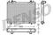 DRM09021 Radiator DENSO, артикул DRM09021