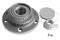 Ступица с подшипником AUDI A3 I/SKODA/VW GOLF IV/POLO V 96- зад., артикул 9230051K