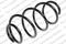 Coil spring, артикул 14864