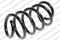 Coil spring, артикул 55041