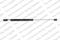 Амортизатор крышки багажника AUDI Q7 WITHOUT POWER TAILGATE 3/06-, артикул 8104248