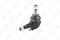 Шаровая опора нижняя L/R MERCEDES-BENZ C180-43(W202) 94-00/CLK200-55(C208) 97-02/E200-55(W210) 95-02, артикул c1035lr