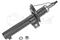 Shock absorber, артикул 1266230055
