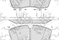 Колодки, артикул PN0833