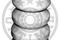 Отбойник амортизатора AUDI: A3 (8L1)SEAT: LEON (1M1) TOLEDO II (1M2)SKODA: OCTAVIA (1U2) OCTAVI, артикул f8-6012
