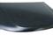 Капот RENAULT DUSTER 10-21, артикул STRND10150
