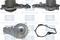 Насос водяной CITROEN: C2 (JM) 1.4HDi 03-, C3 I (FC) 1.4HDi 02-, XSARA (N_) 1.4HDi 03-05 FORD: C-MAX II 1.6TDCi 10- PEUGEOT: 307 (3_) 1.4HDi 01- (алюминий), артикул PA1136AL