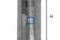 Fuel filter, артикул 3192500