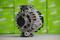 NEW ALTERNATOR BMW, артикул 439476