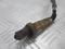Датчик кислородный (лямбда зонд), артикул 11787539126
